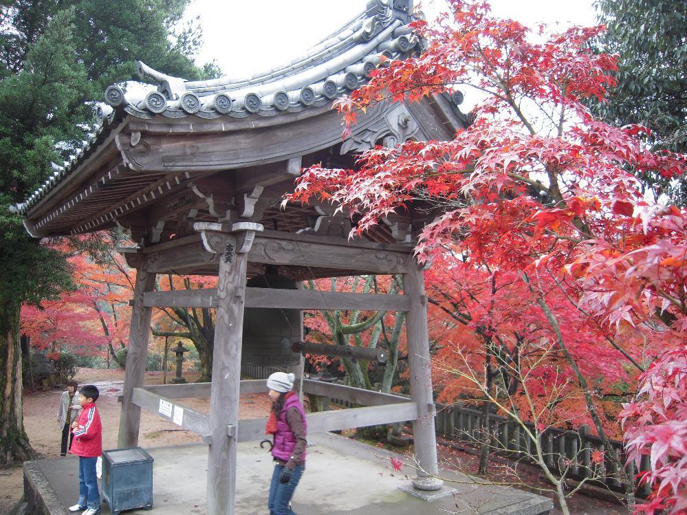 a!Heart supercar 019.jpg